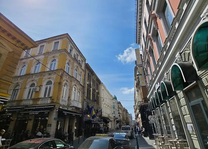 Yellow Panda With Style Saraievo